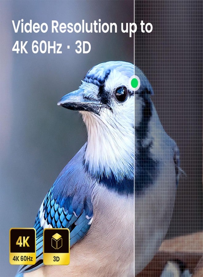 PENGLIN محولات تثبيت لوحة HDMI من بينجلين، 5 قطع، بدقة 4K@60Hz، وصلة تثبيت ثابتة ملولبة HDMI 2.0 أنثى إلى أنثى للتلفزيون والشاشة وجهاز العرض - Image 2